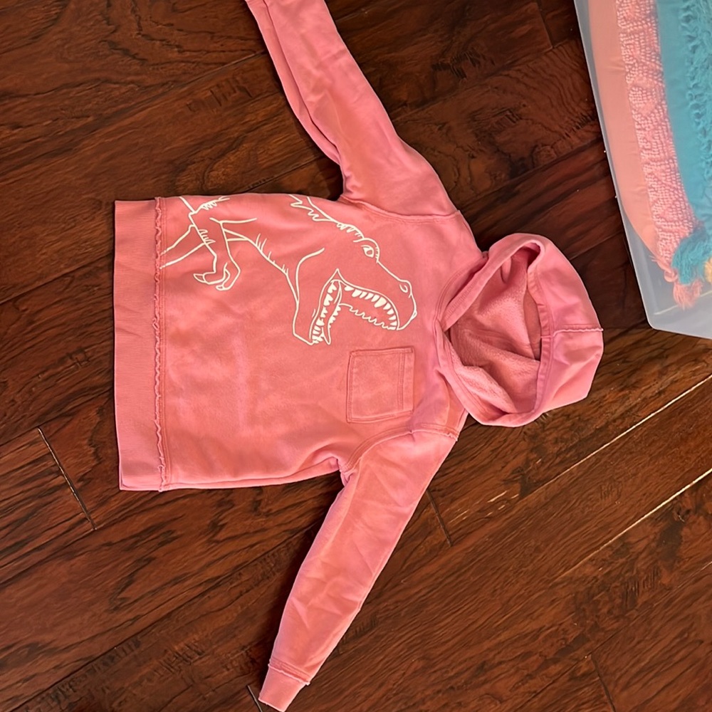 Boys Old Navy Dinosaur sweatshirt